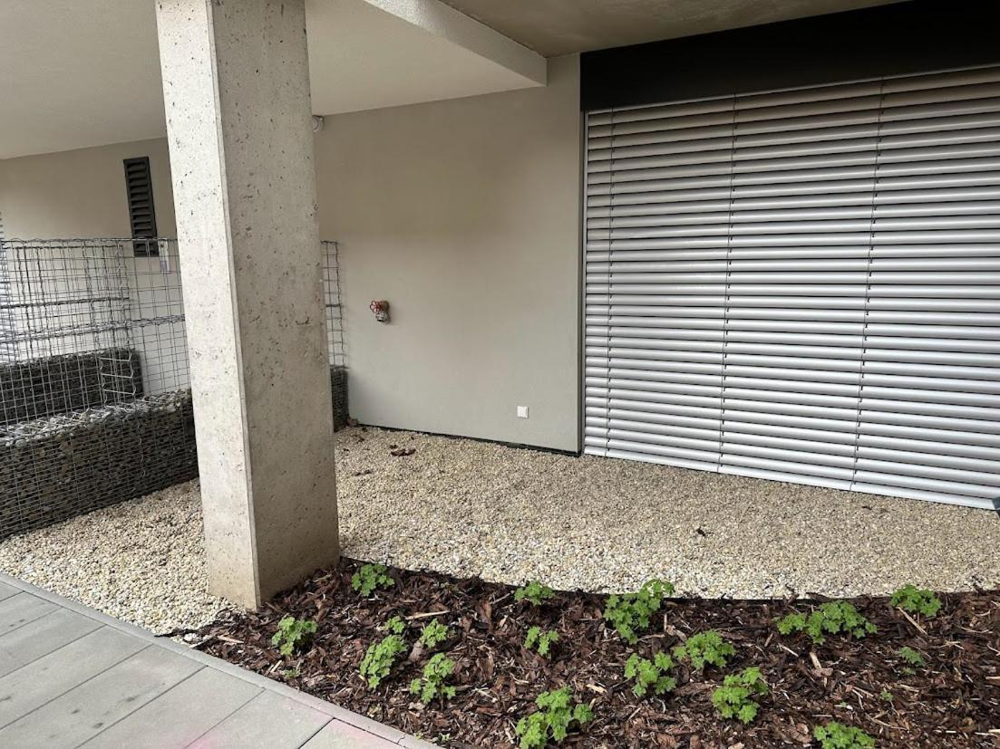 Bella Apartments ברנו מראה חיצוני תמונה